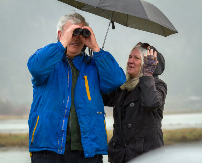 Rainy day birding