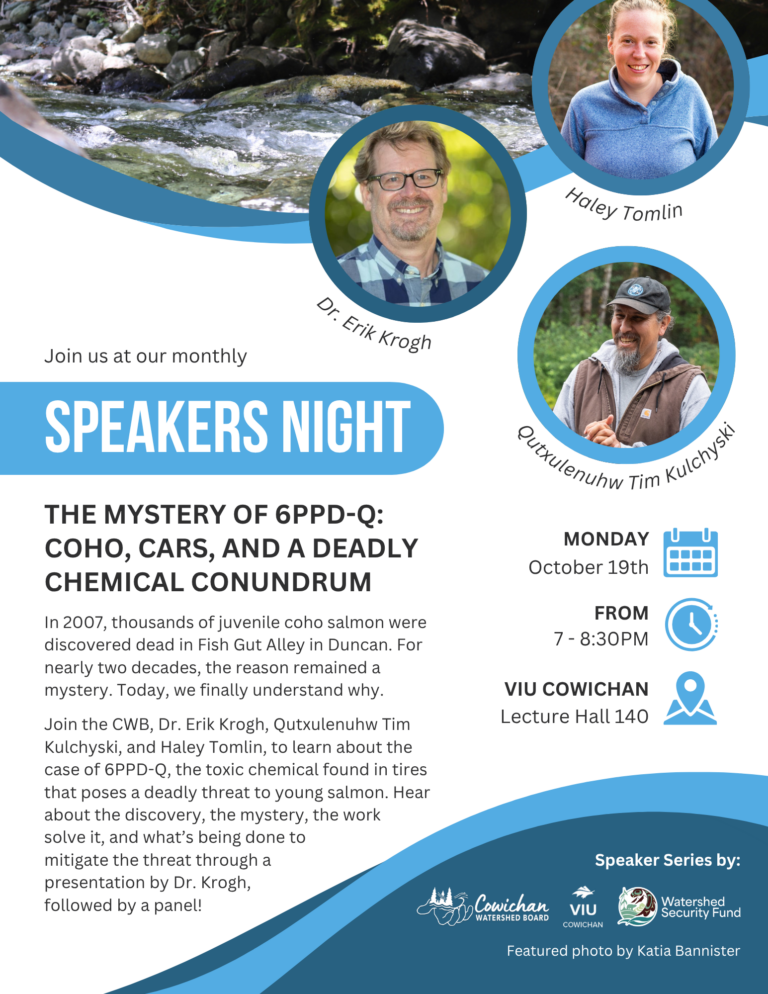 CWB Speakers Night: The Mystery of 6PPD-Q: Coho, Cars, and a Deadly Chemical Conundrum